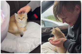 Женя Трофимов обзавелся милейшим питомцем!