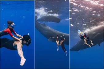 Тимати поплавал среди кашалотов вместе с сыном Ратмиром и Валентиной Ивановой