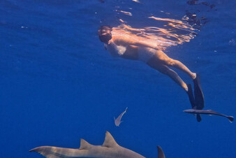 Люся Чеботина поплавала с акулами